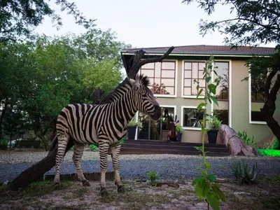 a zebra standing in front of a house at The Castello at Kruger in Marloth Park