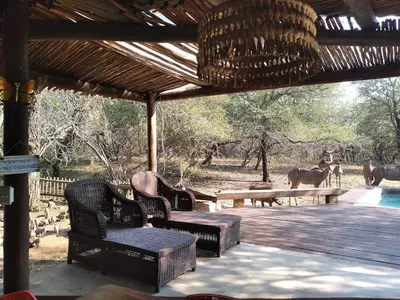 a porch with two chairs and a table and horses in the background at 4609 Ratel in Marloth Park
