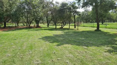 a large grass field with trees in the background at The Captain in Pretoria