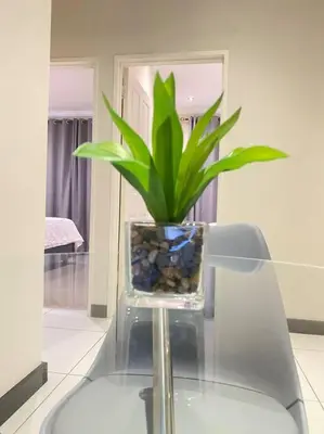 a plant in a glass vase on a glass table at Priceless Cove. Garden Cottage in Midrand