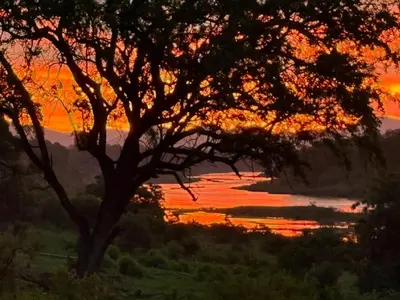 a sunset over a body of water with a tree at River Cottage Lodge in Malelane