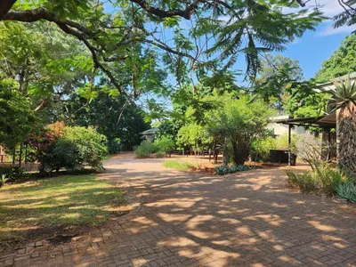 a driveway in a park with trees and grass at River Cottage Lodge in Malelane
