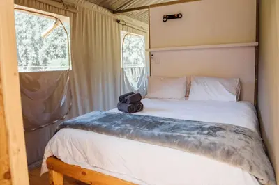 a bedroom with a bed with a camera on it at AfriCamps Waterberg in Vaalwater