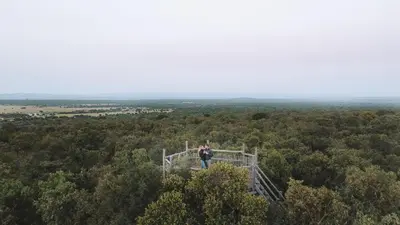 a person standing on a boardwalk in the forest at AfriCamps Waterberg in Vaalwater