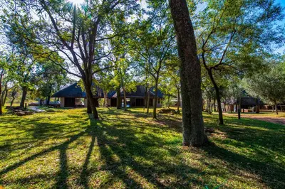 a park with trees and a house in the background at Ilanga Lodge Welgevonden Game Reserve in Welgevonden Game Reserve