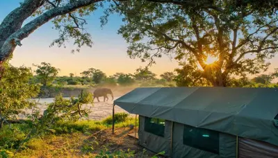 a tent and an elephant in the middle of a field at Kruger Untamed - Tshokwane River Camp in Skukuza