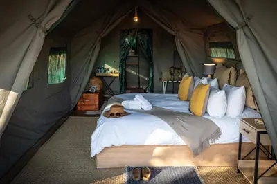 a bed in a tent with a dog laying on it at Kruger Untamed - Tshokwane River Camp in Skukuza