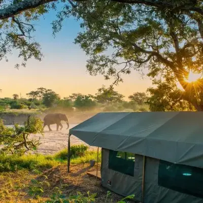 Kruger Untamed - Tshokwane River Camp