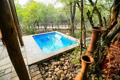 a swimming pool in the middle of a yard at SouthernCross@Kruger in Marloth Park