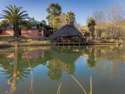 a building with a thatch roof next to a lake at Moopong Farm House in Dullstroom