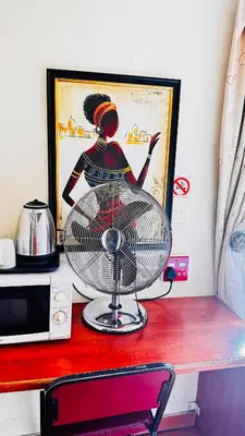 a fan sitting on top of a counter next to a microwave at Deletz Guesthouse in Witbank