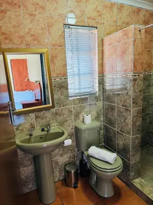 a bathroom with a sink and a toilet and a mirror at Deletz Guesthouse in Witbank