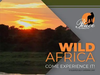 a picture of a sunset with the words wild africa come experience it at Peace of Marloth in Marloth Park
