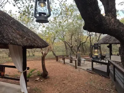 a tree with a light hanging from a building at South Safari Lodge in Marloth Park