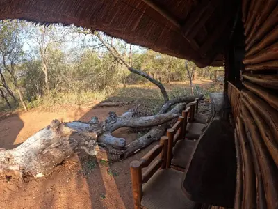 a group of benches in front of a tree stump at South Safari Lodge in Marloth Park