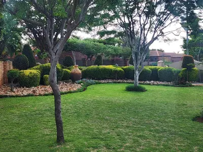 two trees in a yard with grass and bushes at Shepherd Tree in Pretoria