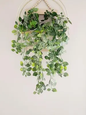 a potted plant hanging on a wall at Shepherd Tree in Pretoria