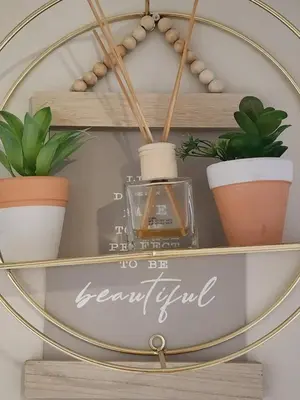 a shelf with potted plants and a mirror at Shepherd Tree in Pretoria