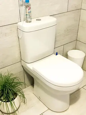 a white toilet in a bathroom with a plant at Mjejane Debs guest house in Hectorspruit
