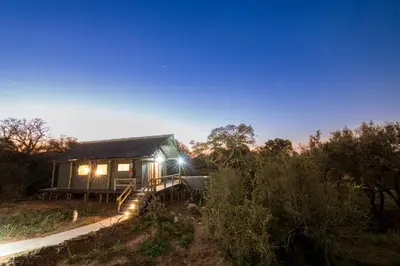 a cabin in the middle of the forest at night at Nkuhlu Tented Camp in Skukuza
