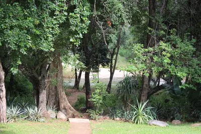 a path through a park with trees and grass at House On Blyde in Kampersrus AH