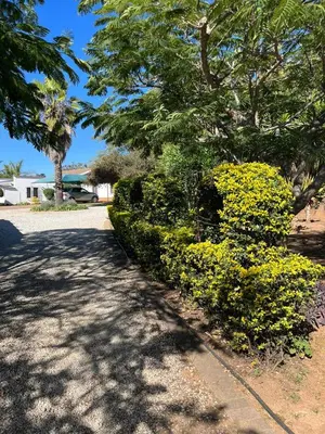 a sidewalk with bushes and trees on a street at Ka Tembe Self Catering Lodge in Polokwane