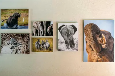 a group of pictures hanging on a wall at Impisi Accommodation in Phalaborwa