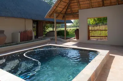 a swimming pool with an umbrella in a backyard at Impisi Accommodation in Phalaborwa