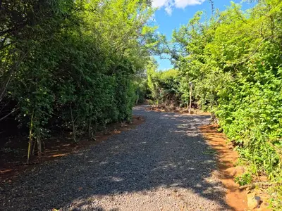 a dirt road with trees on both sides at Hartbeest Bush Stay #3 in Hartbeespoort