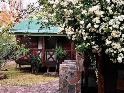 a house with a bench and a tree with flowers at Cinnamon & Sage Country Cabins in Dullstroom