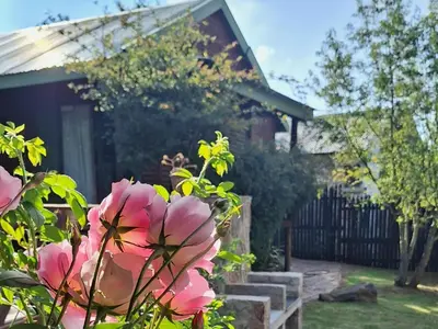 a house with pink flowers in front of a yard at Cinnamon & Sage Country Cabins in Dullstroom