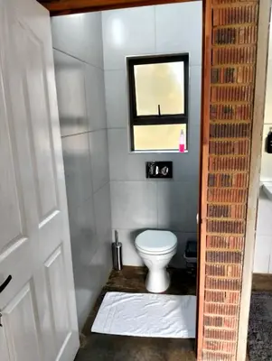 a bathroom with a white toilet and a mirror at Kataluma in Pretoria