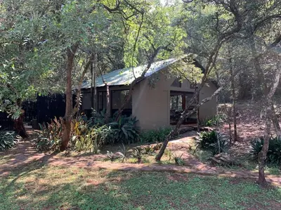a house with a tin roof in the woods at Schoemanskloof, Mpumalanga - Clancy Forest Lodge in Rietvlei