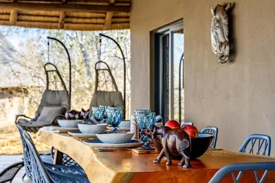 a cat standing on a wooden table in a dining room at Blue Goose Bush Retreat in Marloth Park