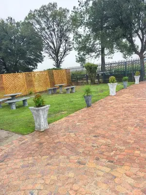 a row of benches with potted plants in a park at Karee Gardens B&B in Springs