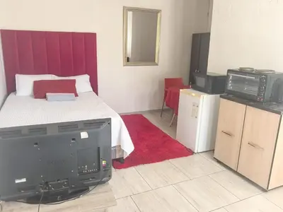 a bedroom with a bed with a tv and a tv at Karee Gardens B&B in Springs