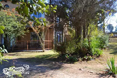 a house with a fence and trees in the yard at Sonata in Dullstroom