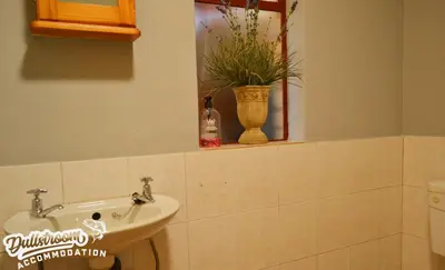 a bathroom with a sink and a plant in a window at Sonata in Dullstroom