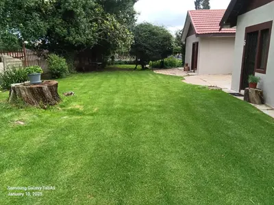 a yard with green grass and a tree stump at Oteng Guest House in Belfast