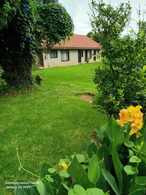 a yard with a house in the background at Oteng Guest House in Belfast