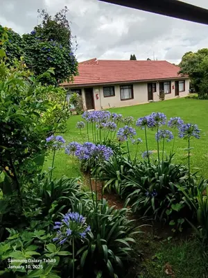 a garden with purple flowers in front of a house at Oteng Guest House in Belfast