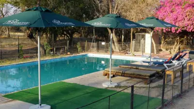 a swimming pool with two umbrellas and lounge chairs next to a swimming pool at Kamoka Camp in Hoedspruit