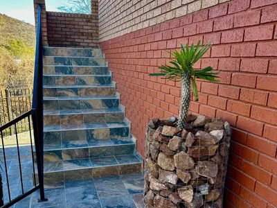a palm tree in a pot next to a brick wall at Valozone70 Guesthouse in Thabazimbi