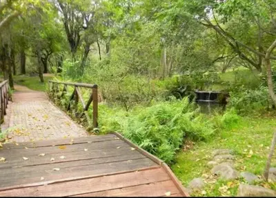 a wooden bridge over a path in a park at Luxury Lodge on Sabie River at Kruger Gate! in Huntingdon