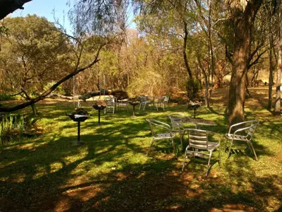 a group of chairs sitting in the grass under a tree at Motozi Lodge in Pelindaba