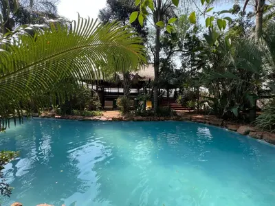 a large pool with blue water and palm trees at Motozi Lodge in Pelindaba
