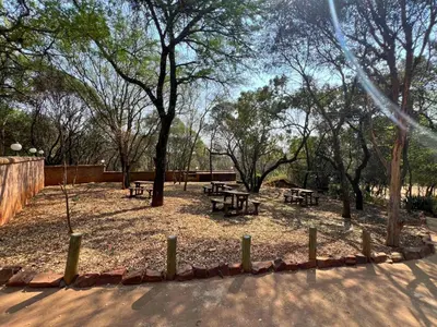 a group of picnic tables in a park with trees at Motozi Lodge in Pelindaba