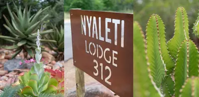 a sign in a garden with cactuses and plants at Nyaleti Lodge in Hoedspruit