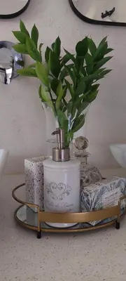 a plant in a vase on a tray on a shelf at Bannockburn Guest Cottage in White River