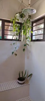 a potted plant hanging from a ceiling in a room at Bannockburn Guest Cottage in White River
